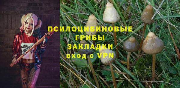 МДМА Карпинск