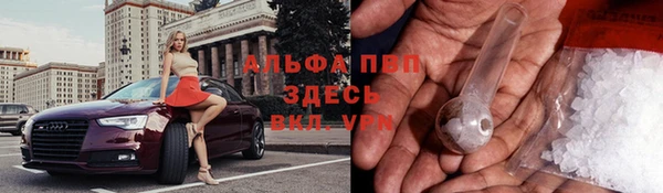 бошки Касимов