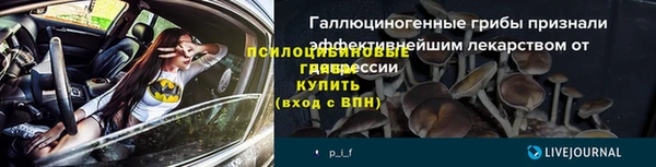 дурь Кинешма