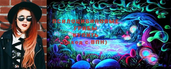 твердый Козельск