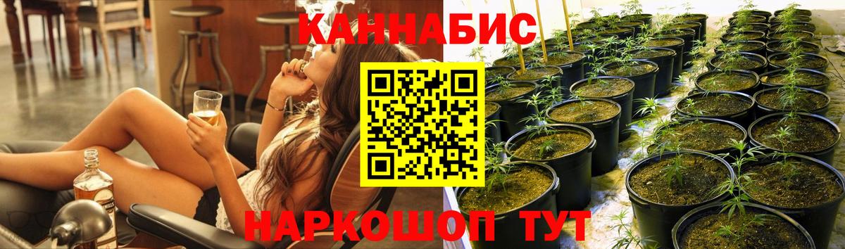 Бошки Шишки White Widow  Канабис White Widow  МАРИХУАНА VHQ  Бугуруслан  Вход с VPN 